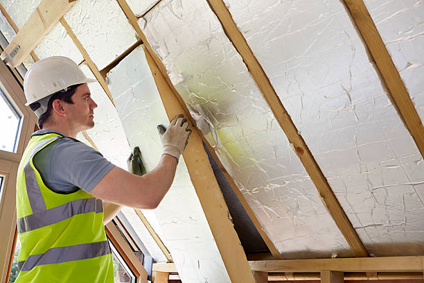 Best Insulation Maintenance and Repair in Burton, MI